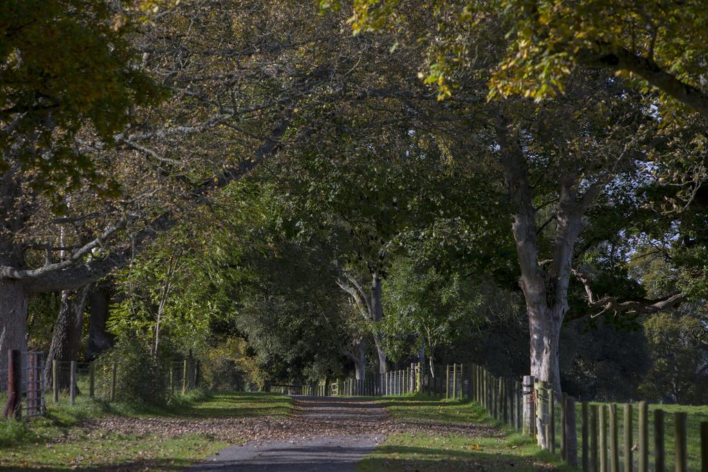 Lady'S Mile Ξενοδοχείο Dawlish Εξωτερικό φωτογραφία